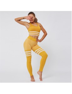 HOT 10 colors Fashion Modern Breathable Workout Clothing Popular Women Active Wear Yoga Set hygroscopic