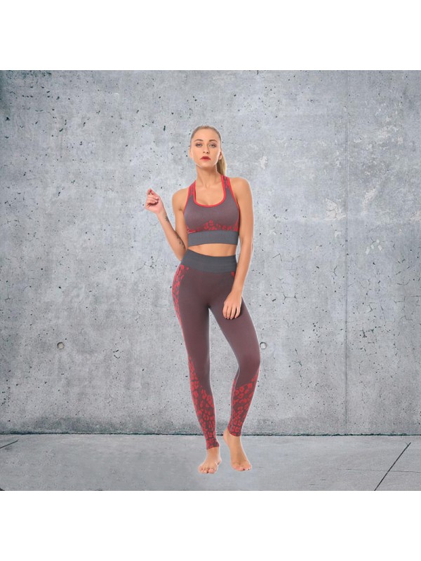 HOT Sale 5 colors Fashion Modern Breathable Workout Clothing Popular Women Active Wear Yoga Set hygroscopic