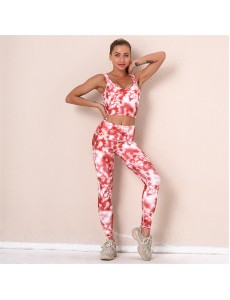 New Fashion Modern Breathable Workout Clothing Women Active Wear Yoga Pants BRA 5 colors fitness
