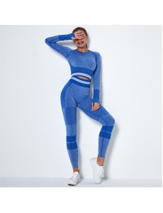 Fashion Modern Breathable Workout Clothing Women Active Wear Yoga Set hygroscopic 4 colors
