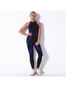 Popular 5 colors Fashion Modern Breathable Workout Clothing Women Active Wear Yoga Set hygroscopic fitness