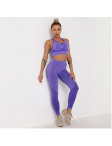 New Fashion Modern Breathable Workout Clothing Women Active Wear Yoga Pants BRA 5 colors