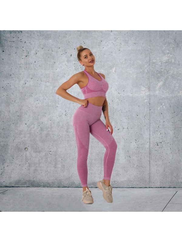 New Fashion Modern Breathable Workout Clothing Women Active Wear Yoga Pants BRA 5 colors